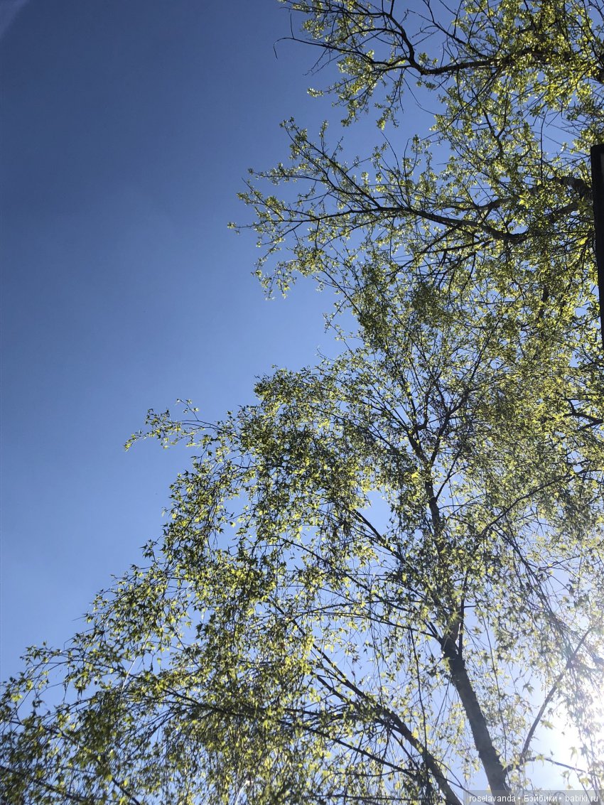 Мир, труд, май — Куклы Iplehouse (Иплхаус): BJD (БЖД)