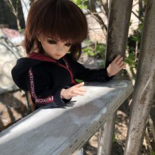 Мир, труд, май