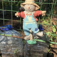 Садовые жители