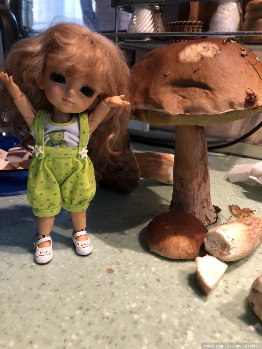 Мое лето, часть 1 — Куклы Latidoll (Лати): BJD (БЖД)