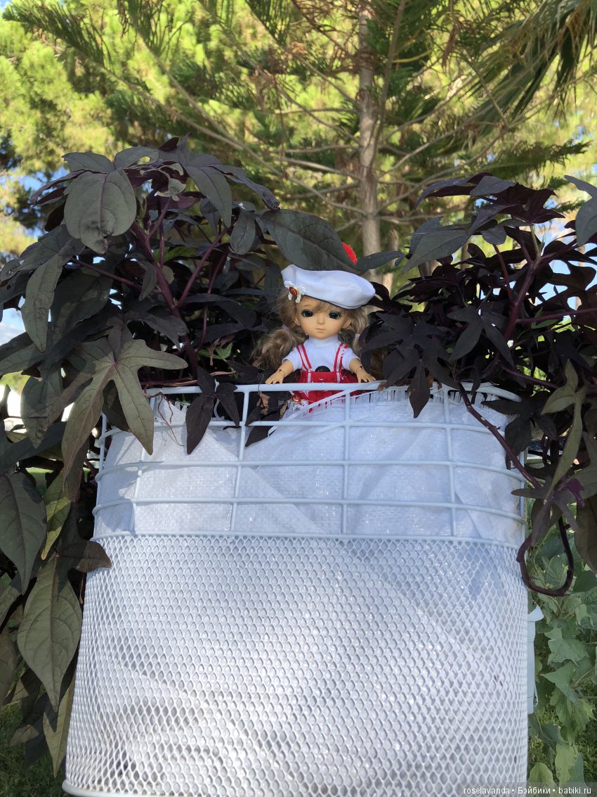 Мое лето, часть 2 | Бэйбики Мое лето, часть 2 — Куклы Latidoll (Лати): BJD (БЖД) (фото 10)