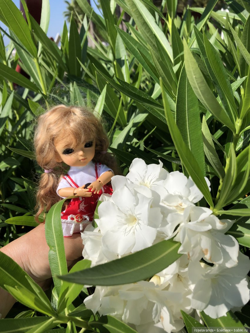 Мое лето, часть 2 | Бэйбики Мое лето, часть 2 — Куклы Latidoll (Лати): BJD (БЖД) (фото 6)