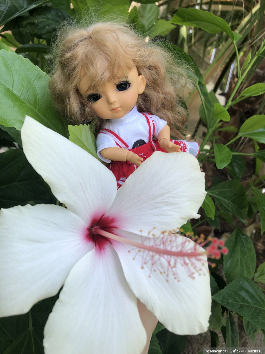 Мое лето, часть 2 | Бэйбики Мое лето, часть 2 — Куклы Latidoll (Лати): BJD (БЖД) (фото 5)