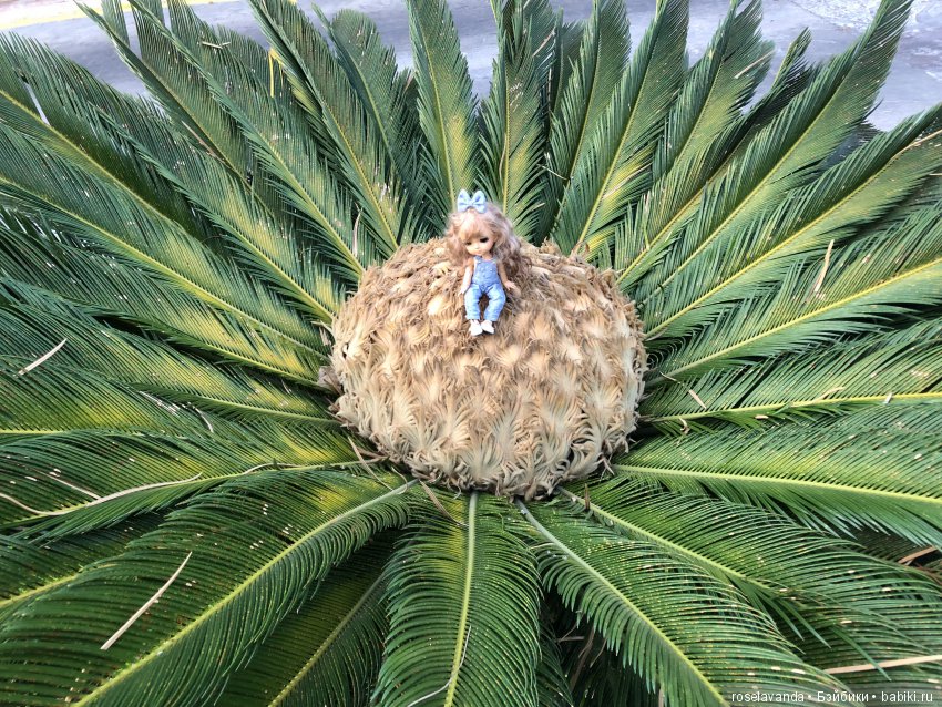 Мое лето, часть 2 | Бэйбики Мое лето, часть 2 — Куклы Latidoll (Лати): BJD (БЖД)