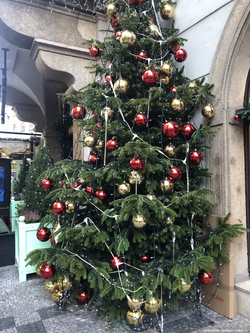 Одинаковые, но такие разные