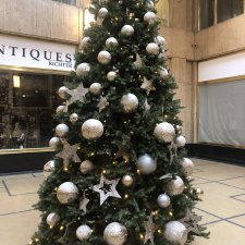 Одинаковые, но такие разные