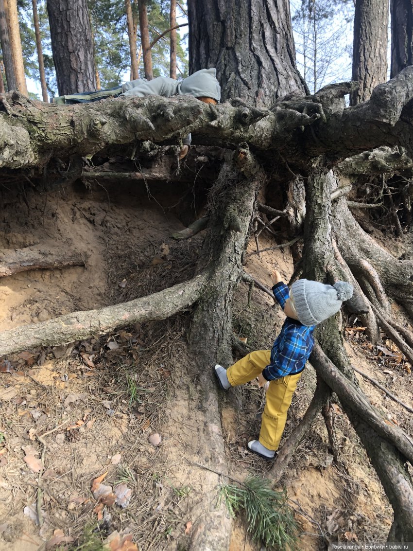 Корни ( ч.2) — Куклы Kidz'n'Cats (Соня Хартман): шарнирные 46 см (фото 7)