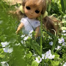 Солнечный Лучик