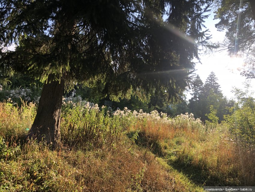 1октября - День Пожилых — Коллекции винтажных кукол и игрушек: СССР (фото 5)