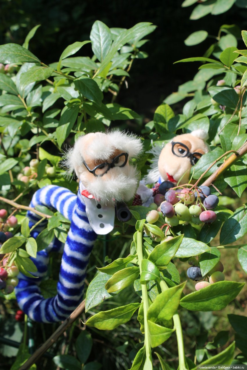 1октября - День Пожилых — Коллекции винтажных кукол и игрушек: СССР (фото 3)