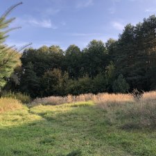 1октября - День Пожилых