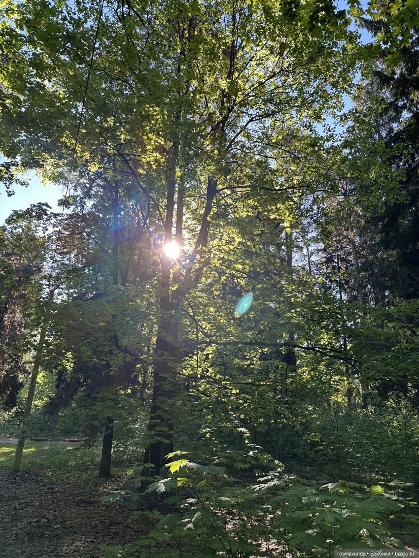 Куклы Ruby Red (Руби Ред) Fashion Friends: Siblies (фото 5)