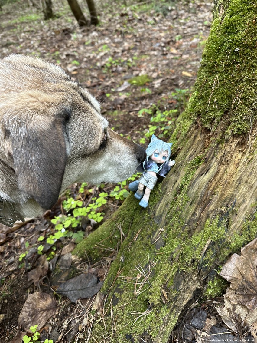 Эльфеечка — Разные шарнирные куклы (не БЖД): редкие (фото 5)