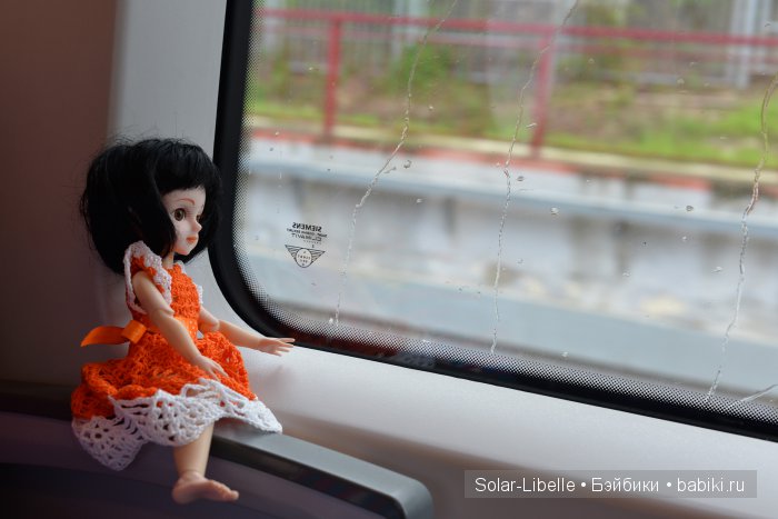 Солнечный день в Сочи Парке (фото 4)