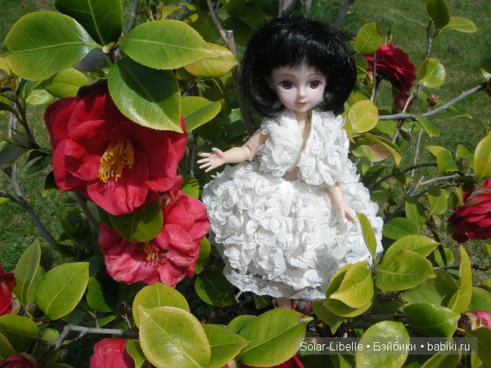 Солнечный день в Сочи Парке