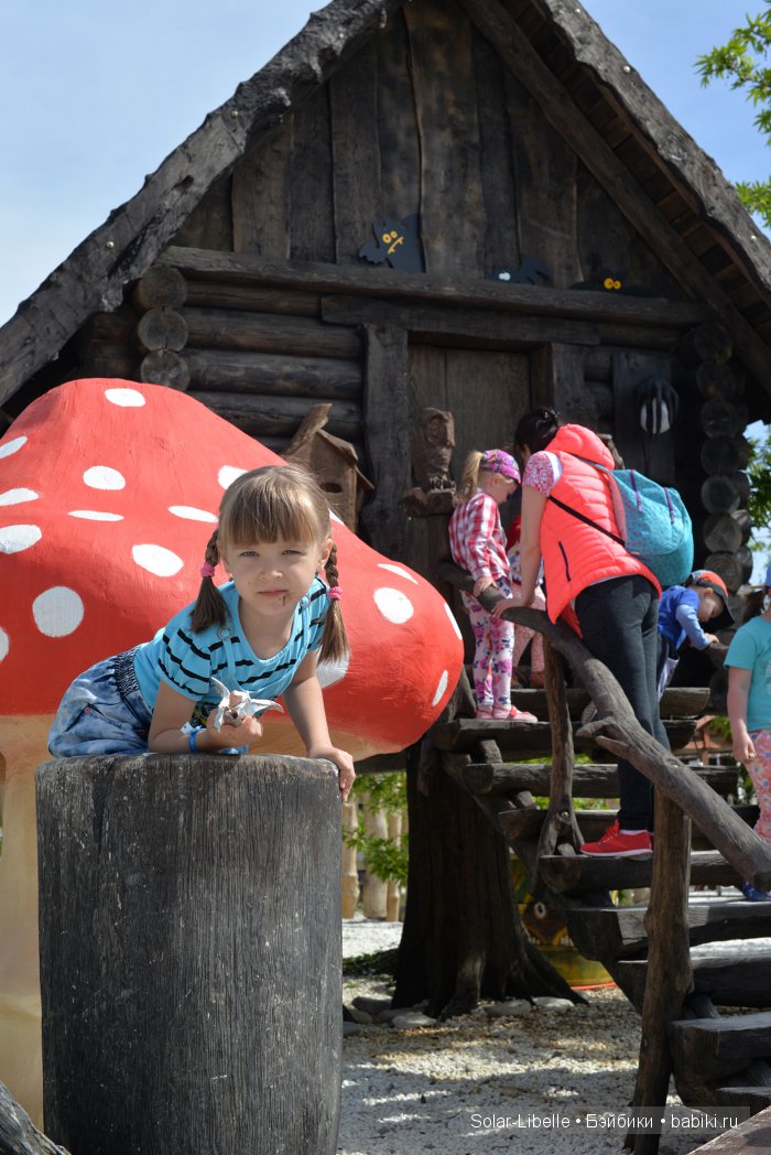 Солнечный день в Сочи Парке