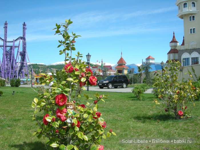 Солнечный день в Сочи Парке