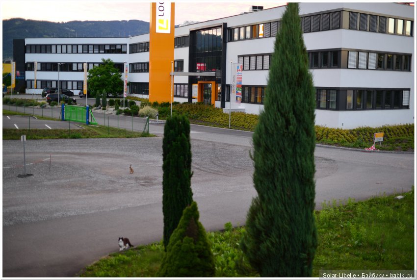 Еще немного Австрии — Туризм и путешествия: фотоотчеты из поездок