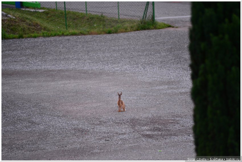 Еще немного Австрии — Туризм и путешествия: фотоотчеты из поездок