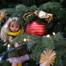 Куколка Шильдкрет на прогулке в Вене