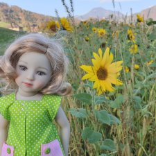 Первые пробы шитья. Куколки Ruby Red Fashion Friends