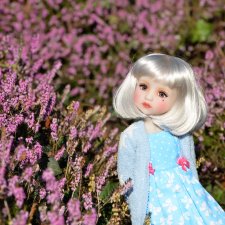 Сабрина и цветущая зима.