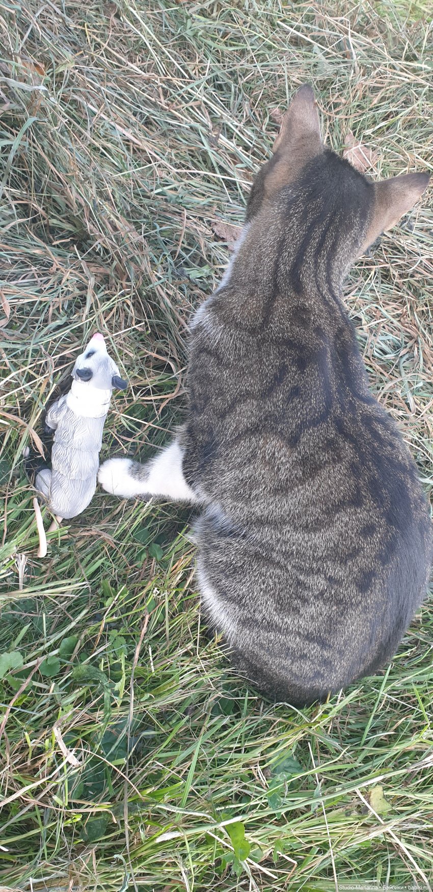 Новый год и итоги 2023 | Бэйбики Новый год и итоги 2023 — Куклы Anne Mitrani и Gotz (Анне Митрани): фото