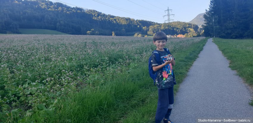 Новый год и итоги 2023 | Бэйбики Новый год и итоги 2023 — Куклы Anne Mitrani и Gotz (Анне Митрани): фото