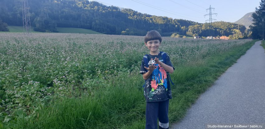 Новый год и итоги 2023 | Бэйбики Новый год и итоги 2023 — Куклы Anne Mitrani и Gotz (Анне Митрани): фото