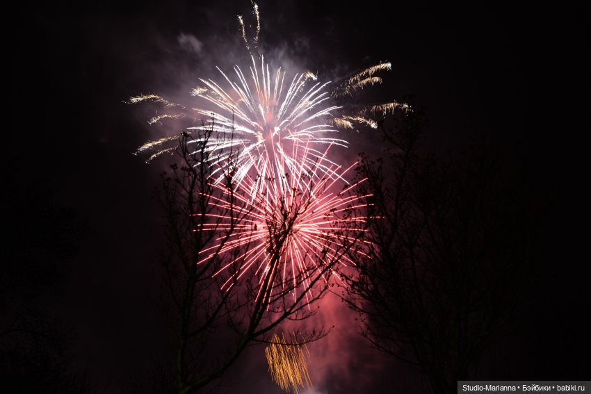 Новый год и итоги 2023 | Бэйбики Новый год и итоги 2023 — Куклы Anne Mitrani и Gotz (Анне Митрани): фото