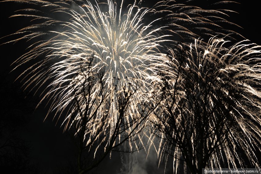 Новый год и итоги 2023 — Куклы Anne Mitrani и Gotz (Анне Митрани): фото