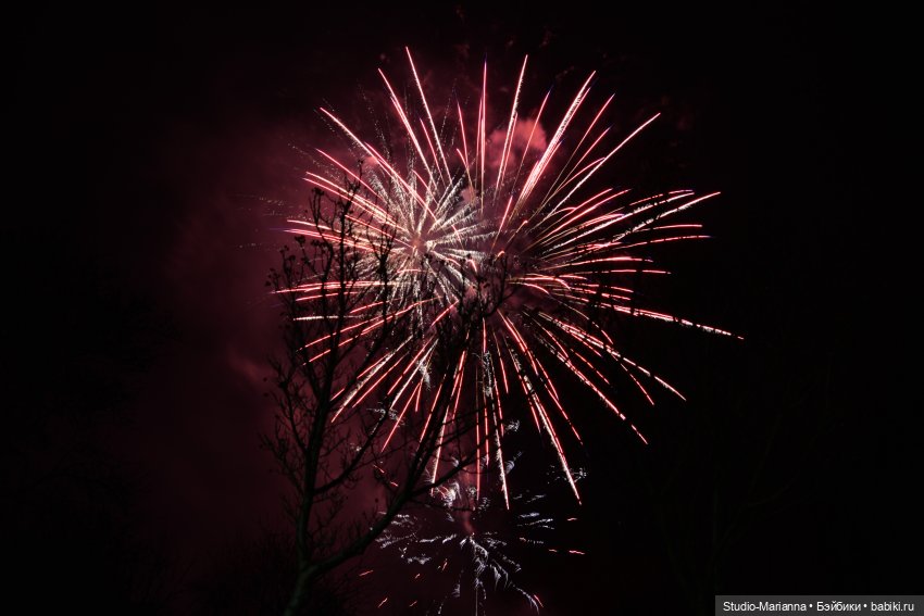 Новый год и итоги 2023 | Бэйбики Новый год и итоги 2023 — Куклы Anne Mitrani и Gotz (Анне Митрани): фото