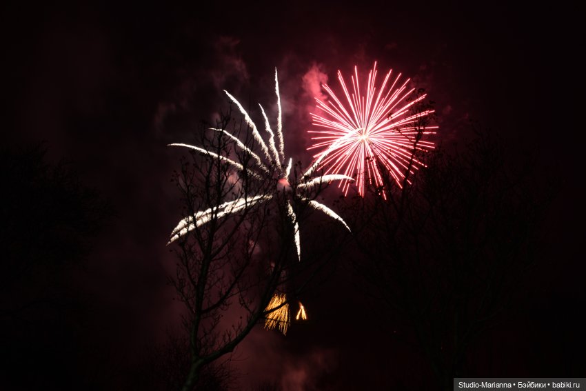 Новый год и итоги 2023 | Бэйбики Новый год и итоги 2023 — Куклы Anne Mitrani и Gotz (Анне Митрани): фото