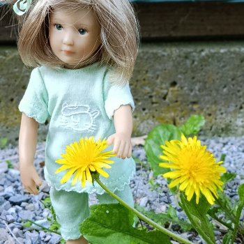 малышка kidz n cats и цветы осени