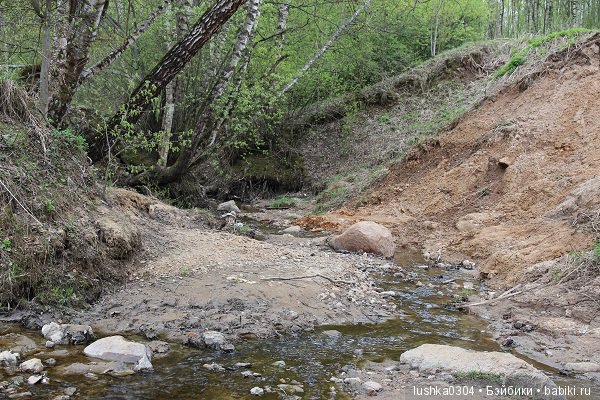 Ко мне приехала Сид — Фэшн (фото 2)