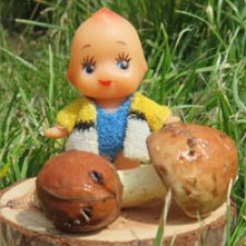 День летнего солнцесияния 2 или в поисках добычи