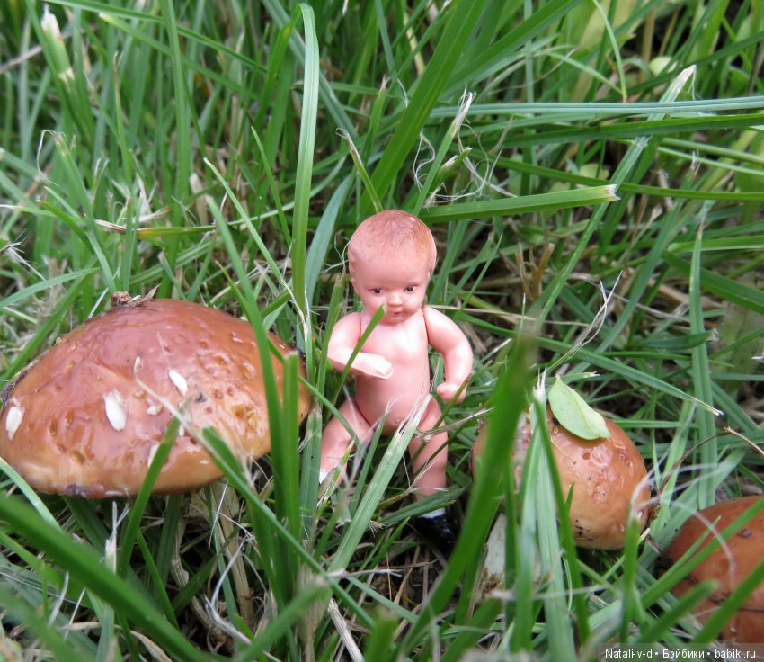 День летнего солнцесияния 2 или в поисках добычи (фото 8)