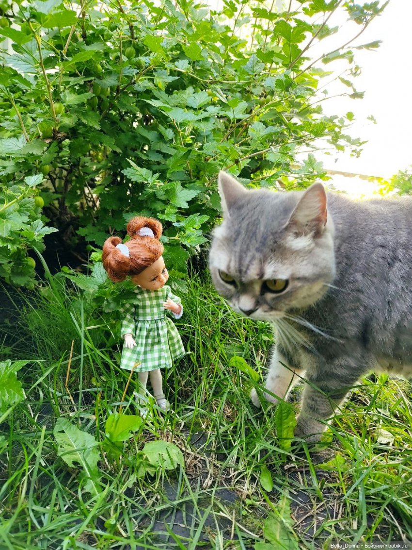 Мои Mini Amigas от Paola Reina (фото 5)