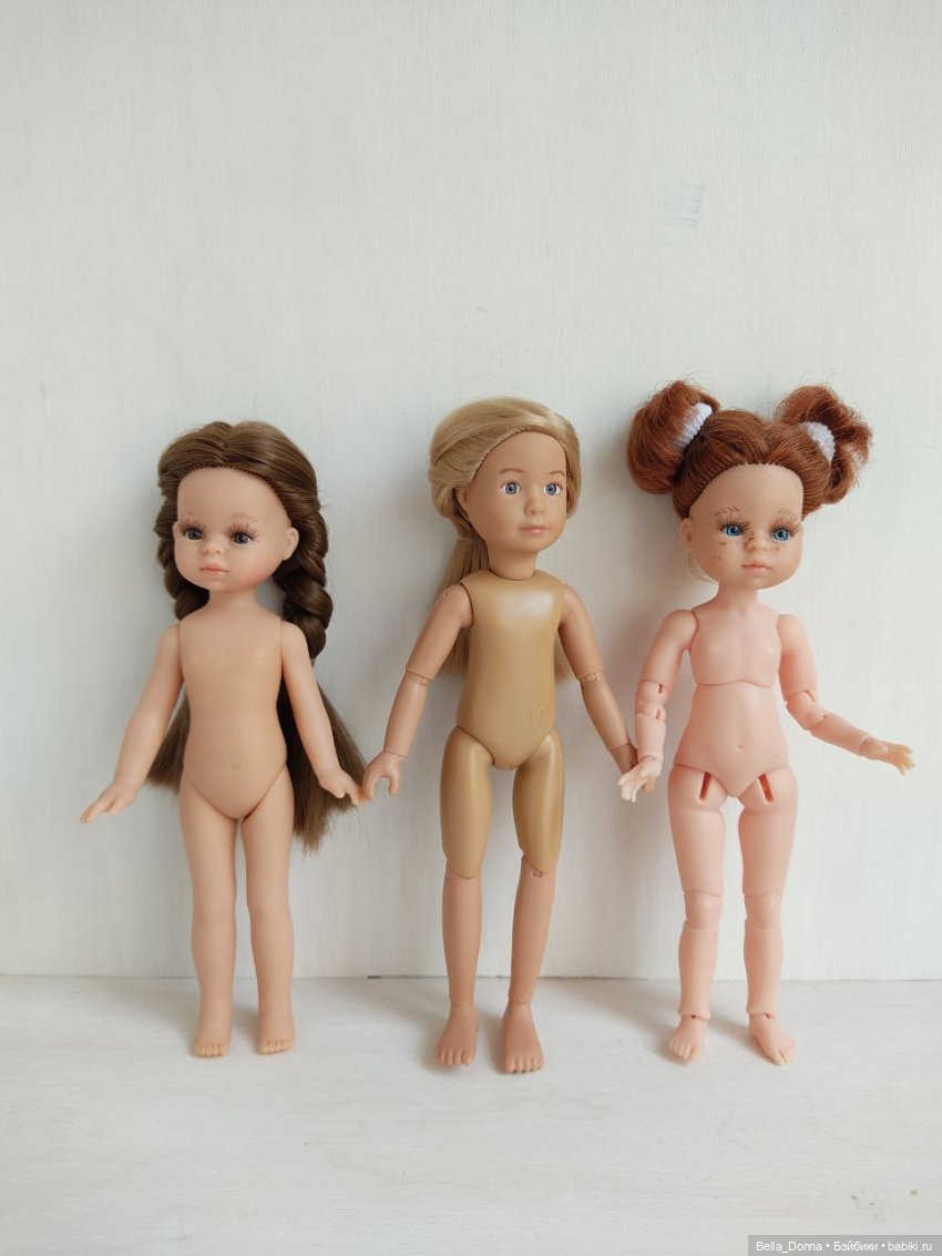 Обзор шарнирного тела для Мини Паола Рейна