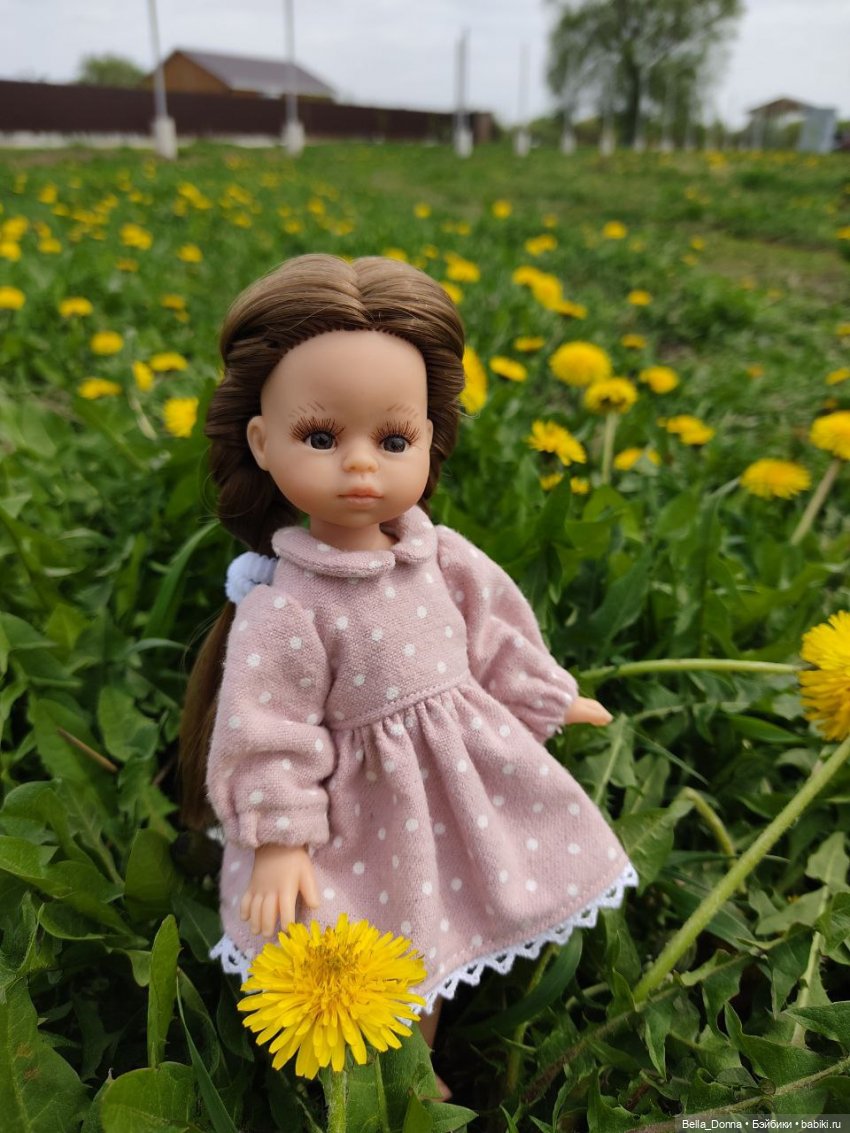 Мини Паола Эстелла. Поездка на дачу (фото 2)