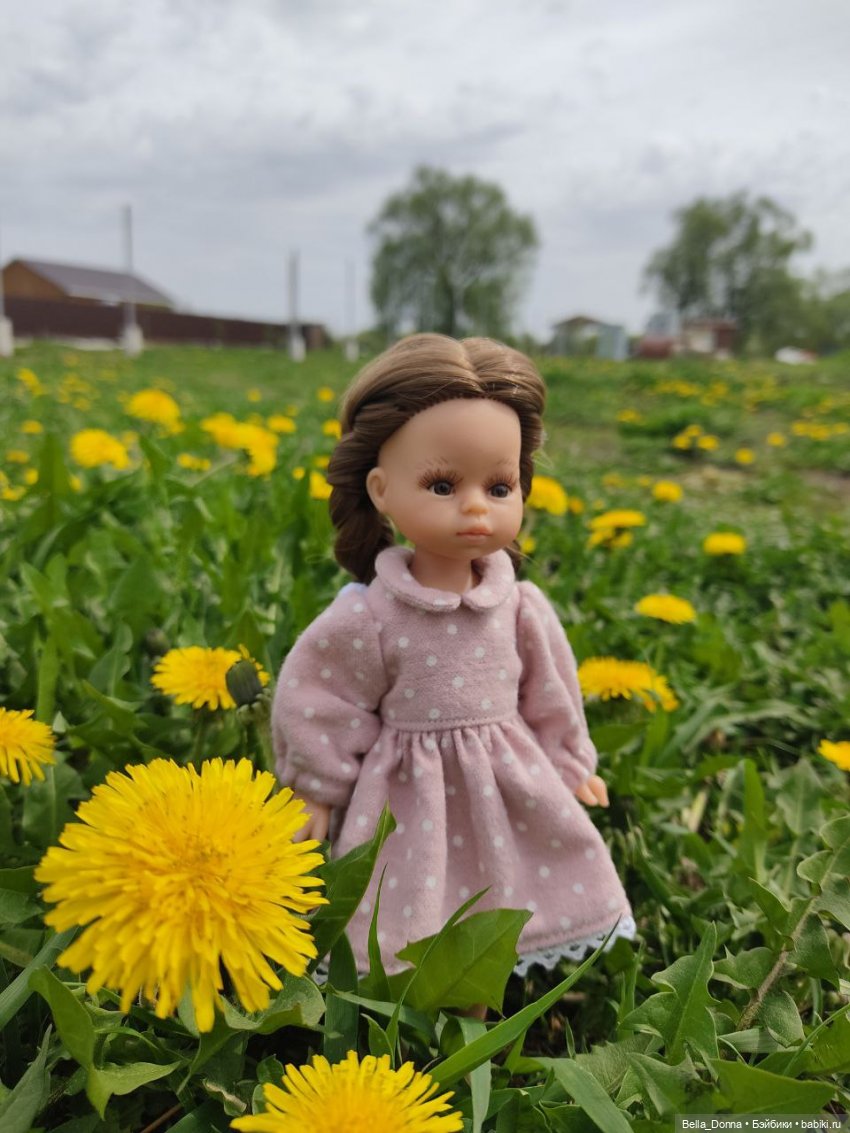 Мини Паола Эстелла. Поездка на дачу (фото 7)