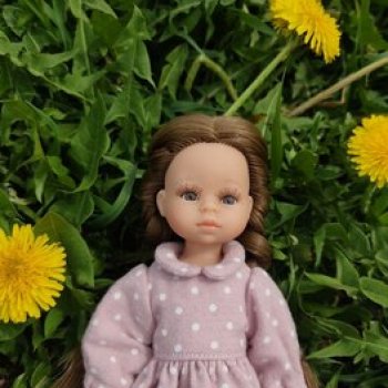 Мини Паола Эстелла. Поездка на дачу