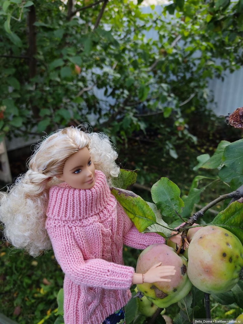 Осенние зарисовки с Мидж (Барби Милли BMR 1959)