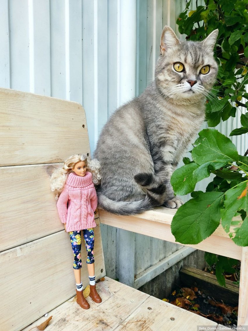 Осенние зарисовки с Мидж (Барби Милли BMR 1959) (фото 2)