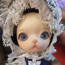 Ищу владельцев Панг-джу Кэмпбелл