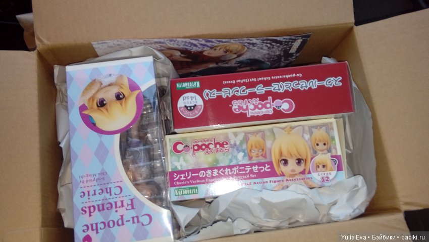 К нам приехала малышка Cu-poche Шерри