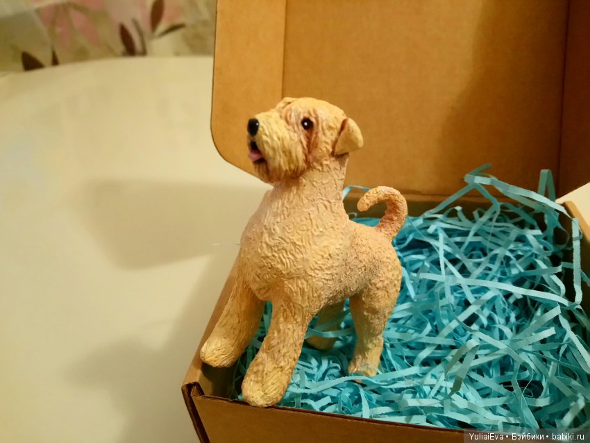 О пшеничных терьерах — В мире животных: смешные фото питомцев и зверей