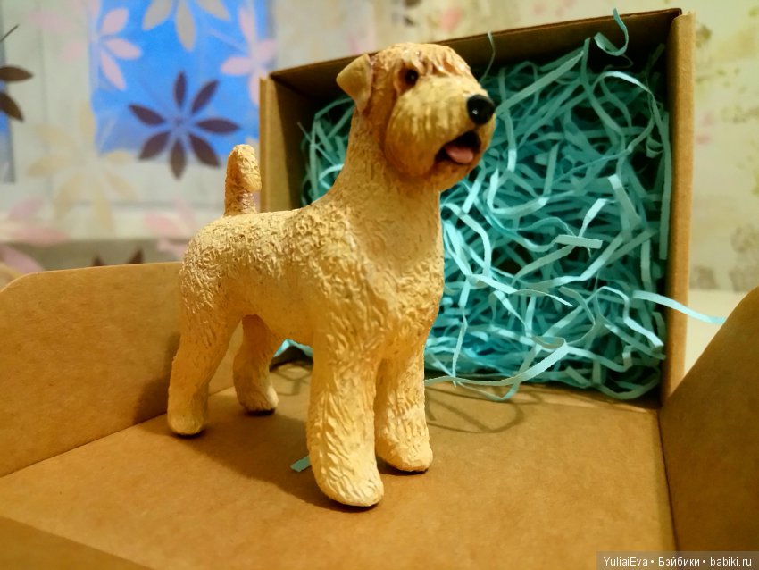 О пшеничных терьерах — В мире животных: смешные фото питомцев и зверей