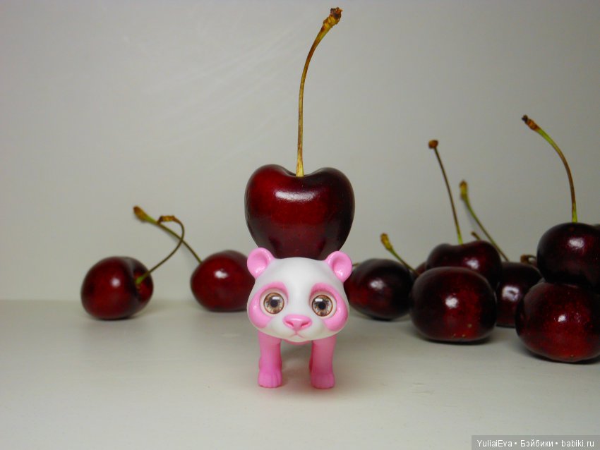 Медведи всех стран, объединяйтесь (фото 8)