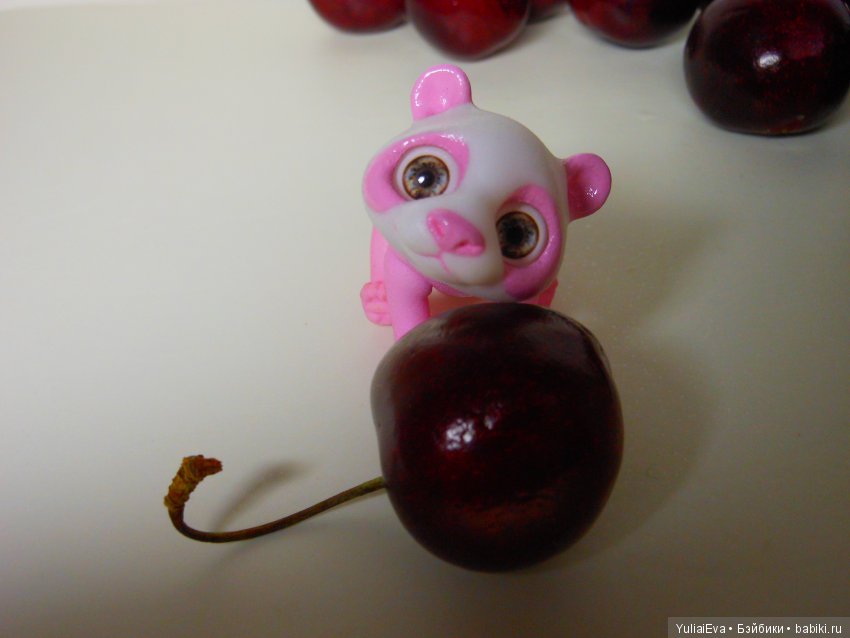 Медведи всех стран, объединяйтесь (фото 4)